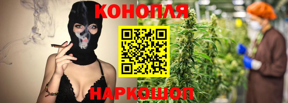 Канабис OG Kush Трёхгорный